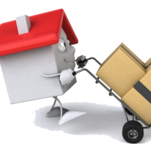 ikitelli ev taşıma